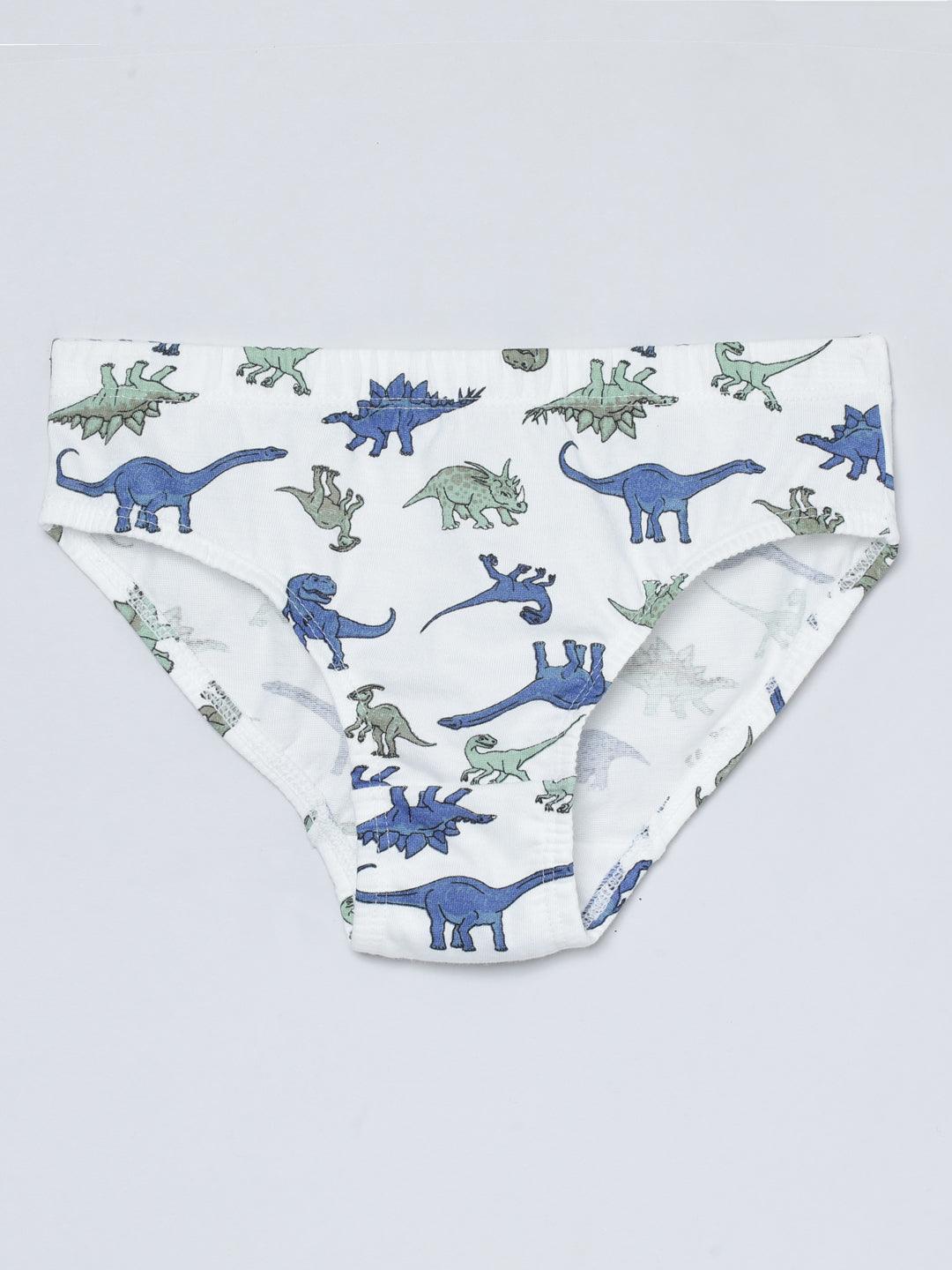 Boys Brief - Dino All Over Print & Solid Color Combo Pack Of 3 - CharmnCherish