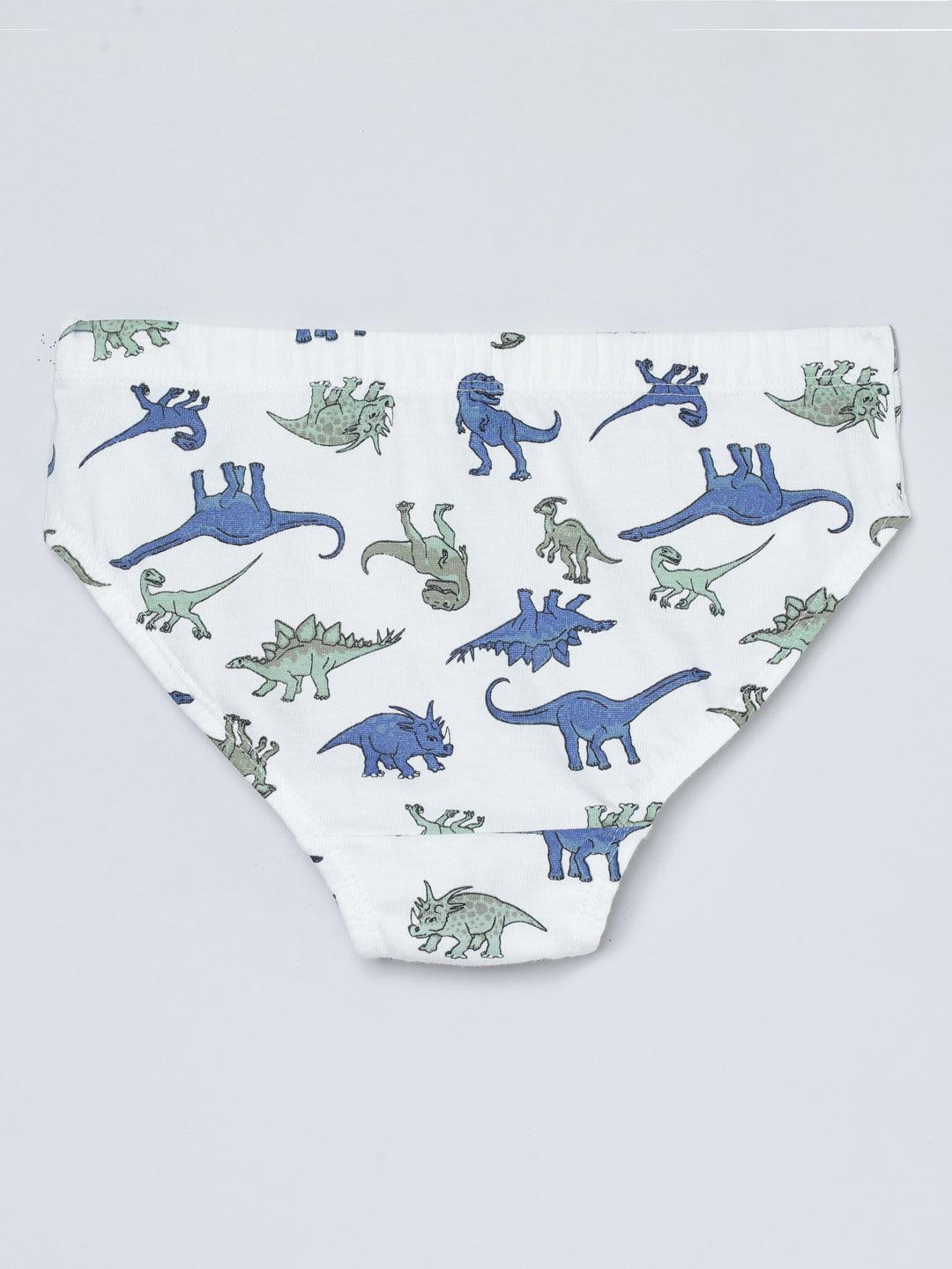 Boys Brief - Dino All Over Print & Solid Color Combo Pack Of 3 - CharmnCherish