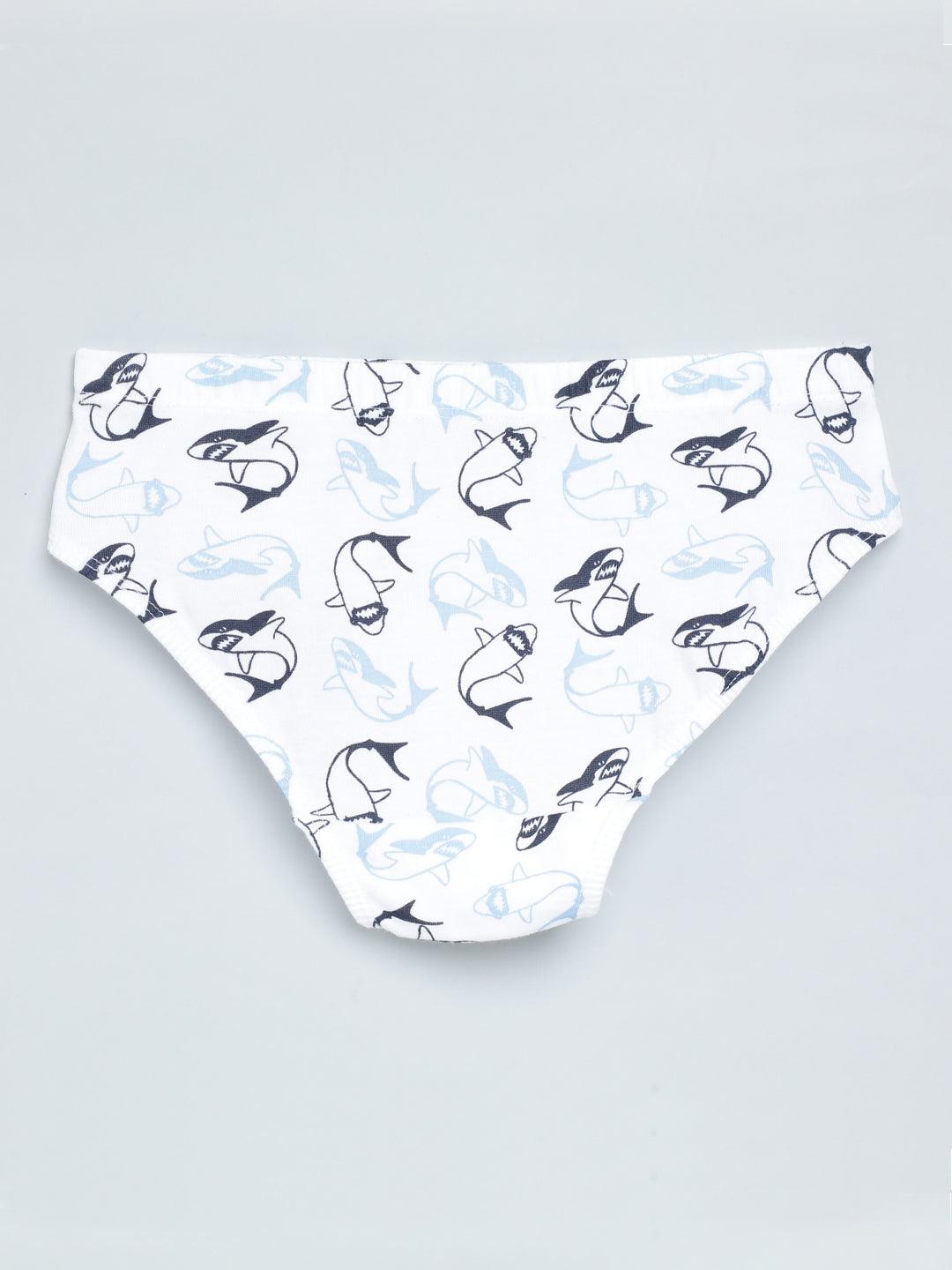 Boys Brief - Shark All Over Print & Solid Color Combo Pack Of 3 - CharmnCherish