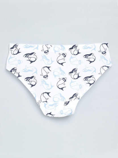 Boys Brief - Shark All Over Print & Solid Color Combo Pack Of 3 - CharmnCherish