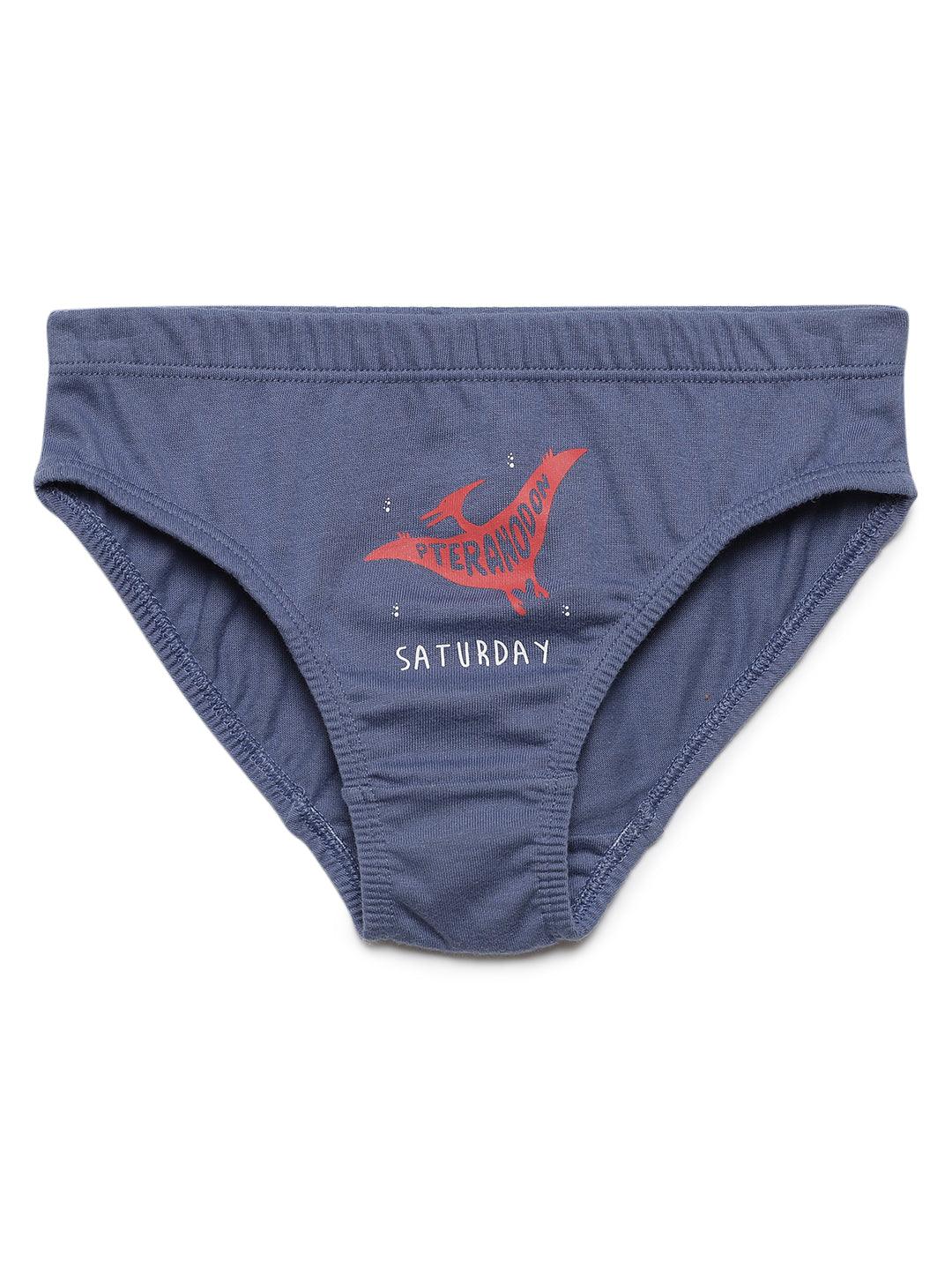 Boys Brief - Weekdays Dino Print (Pack of 7) - CharmnCherish