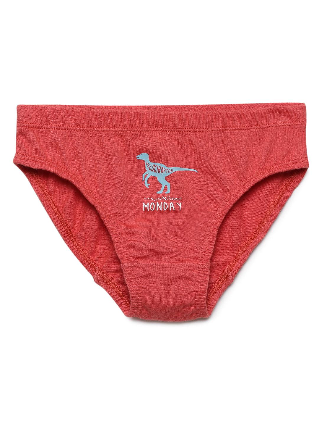 Boys Brief - Weekdays Dino Print (Pack of 7) - CharmnCherish